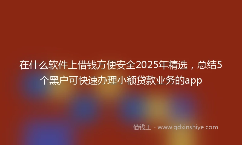 在什么软件上借钱方便安全2025年精选，总结5个黑户可快速办理小额贷款业务的app