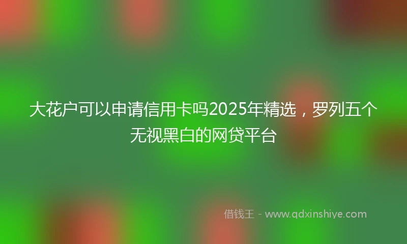 大花户可以申请信用卡吗2025年精选，罗列五个无视黑白的网贷平台