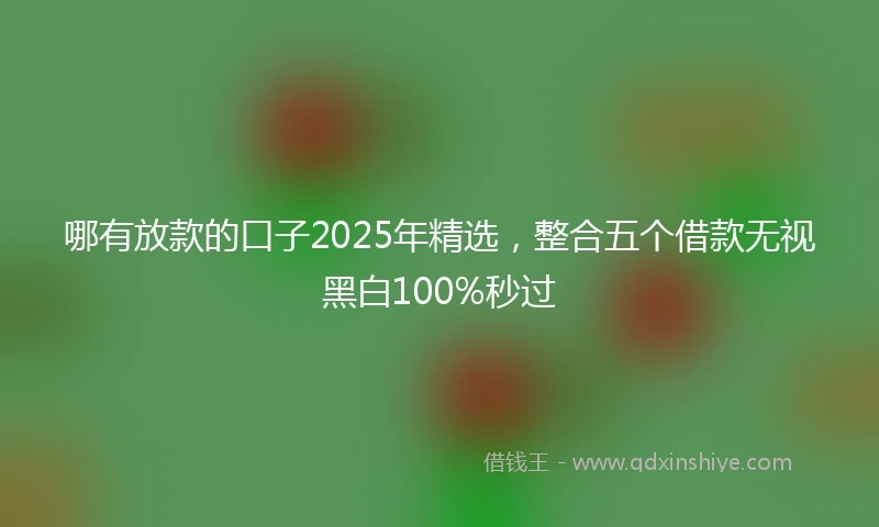 哪有放款的口子2025年精选，整合五个借款无视黑白100%秒过