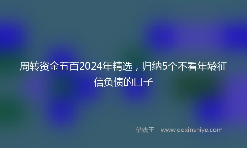 周转资金五百2024年精选，归纳5个不看年龄征信负债的口子