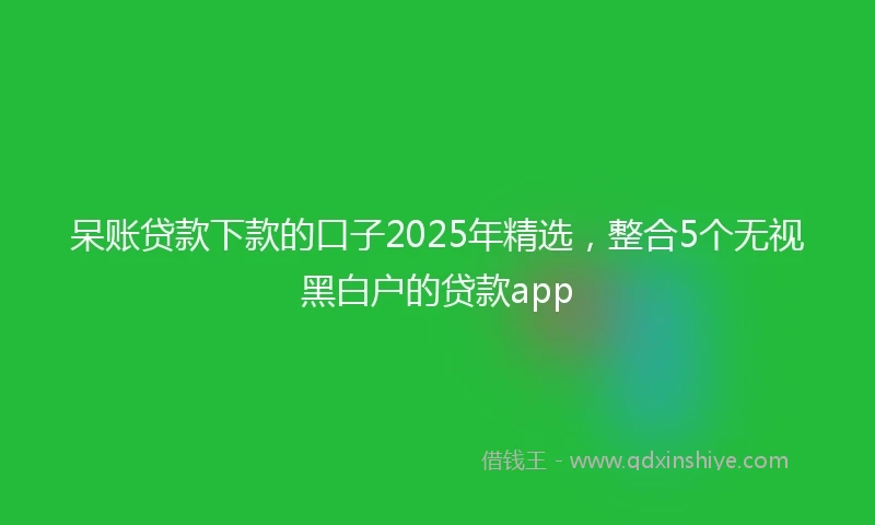 呆账贷款下款的口子2025年精选，整合5个无视黑白户的贷款app