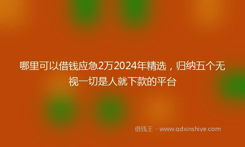 哪里可以借钱应急2万2024年精选，归纳五个无视一切是人就下款的平台