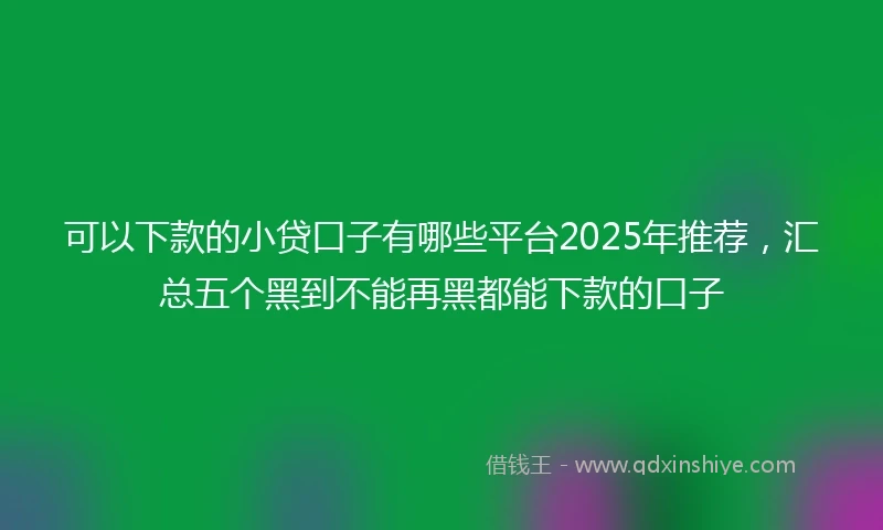 可以下款的小贷口子有哪些平台2025年推荐，汇总五个黑到不能再黑都能下款的口子