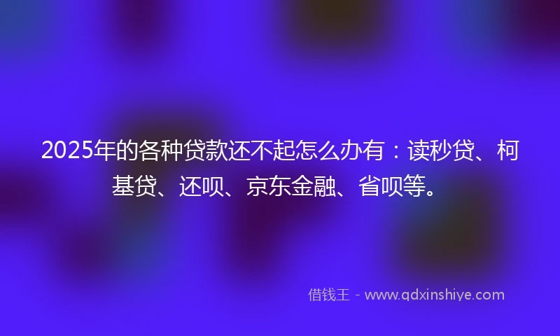 2025年的各种贷款还不起怎么办有：读秒贷、柯基贷、还呗、京东金融、省呗等。