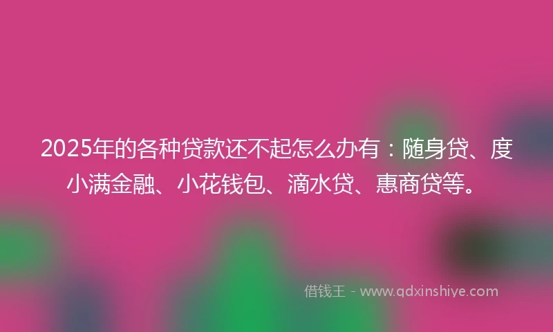 2025年的各种贷款还不起怎么办有：随身贷、度小满金融、小花钱包、滴水贷、惠商贷等。