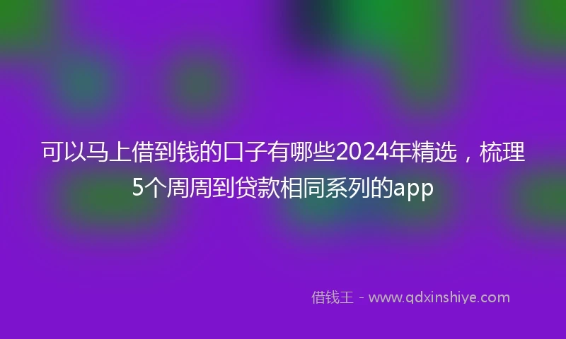 可以马上借到钱的口子有哪些2024年精选，梳理5个周周到贷款相同系列的app