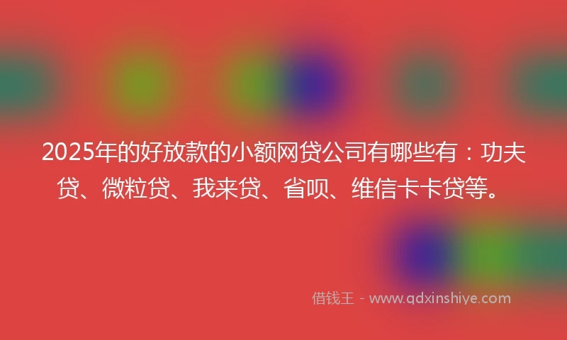 2025年的好放款的小额网贷公司有哪些有：功夫贷、微粒贷、我来贷、省呗、维信卡卡贷等。