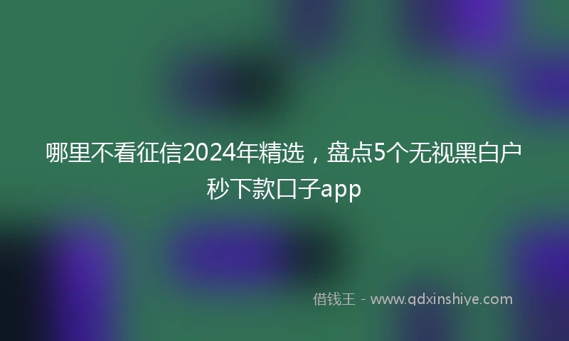 哪里不看征信2024年精选，盘点5个无视黑白户秒下款口子app