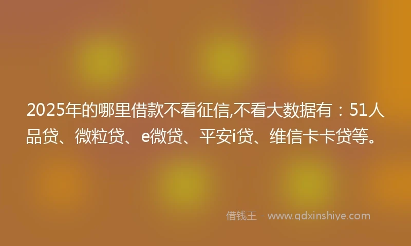 2025年的哪里借款不看征信,不看大数据有：51人品贷、微粒贷、e微贷、平安i贷、维信卡卡贷等。