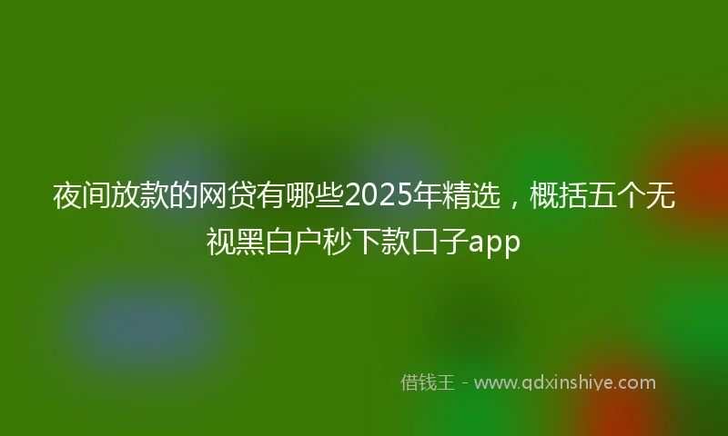 夜间放款的网贷有哪些2025年精选，概括五个无视黑白户秒下款口子app