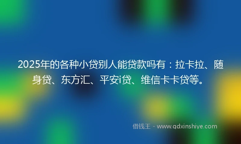 2025年的各种小贷别人能贷款吗有：拉卡拉、随身贷、东方汇、平安i贷、维信卡卡贷等。