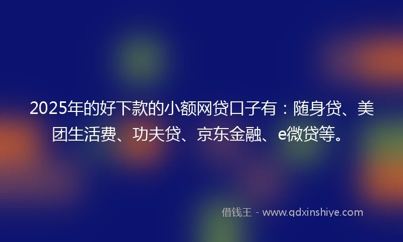 2025年的好下款的小额网贷口子有：随身贷、美团生活费、功夫贷、京东金融、e微贷等。