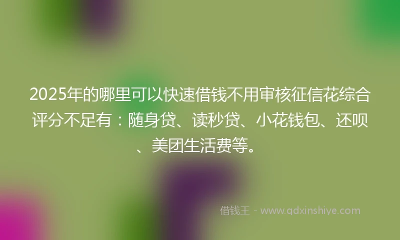 2025年的哪里可以快速借钱不用审核征信花综合评分不足有：随身贷、读秒贷、小花钱包、还呗、美团生活费等。