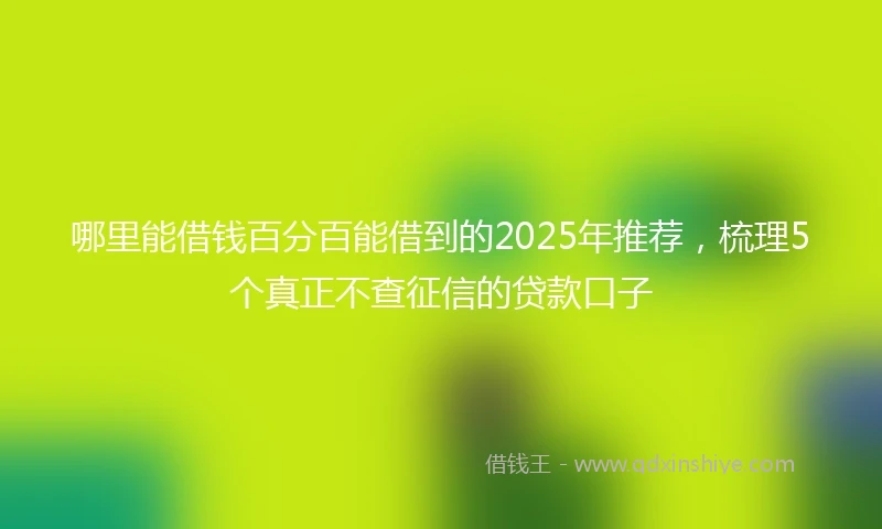 哪里能借钱百分百能借到的2025年推荐，梳理5个真正不查征信的贷款口子