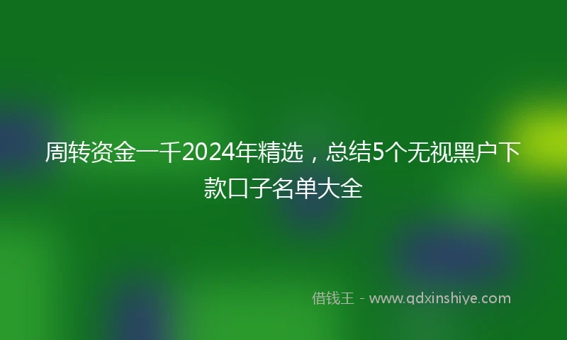 周转资金一千2024年精选，总结5个无视黑户下款口子名单大全