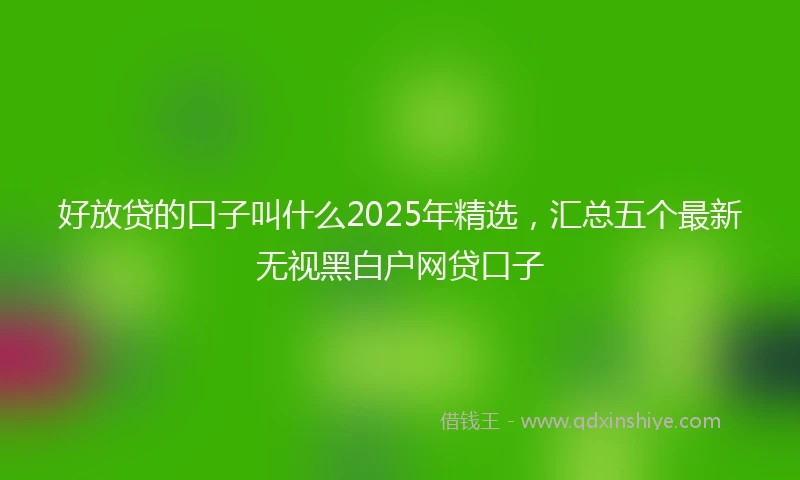 好放贷的口子叫什么2025年精选，汇总五个最新无视黑白户网贷口子