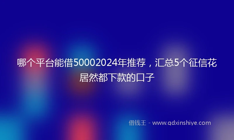 哪个平台能借50002024年推荐，汇总5个征信花居然都下款的口子
