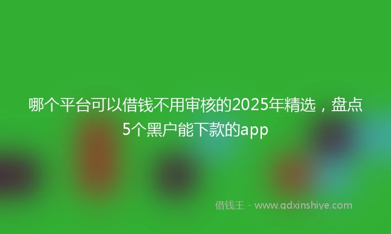 哪个平台可以借钱不用审核的2025年精选，盘点5个黑户能下款的app
