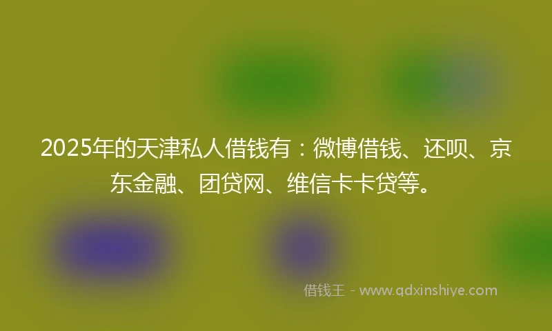2025年的天津私人借钱有：微博借钱、还呗、京东金融、团贷网、维信卡卡贷等。