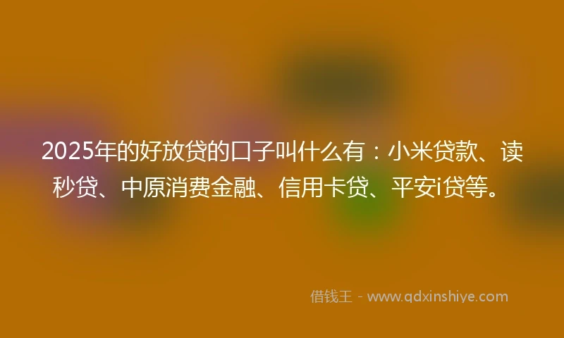 2025年的好放贷的口子叫什么有：小米贷款、读秒贷、中原消费金融、信用卡贷、平安i贷等。