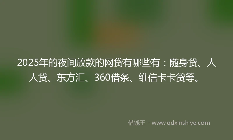 2025年的夜间放款的网贷有哪些有：随身贷、人人贷、东方汇、360借条、维信卡卡贷等。
