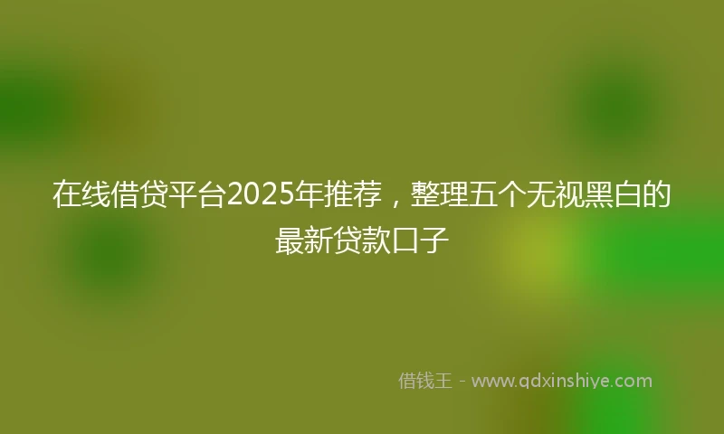 在线借贷平台2025年推荐，整理五个无视黑白的最新贷款口子