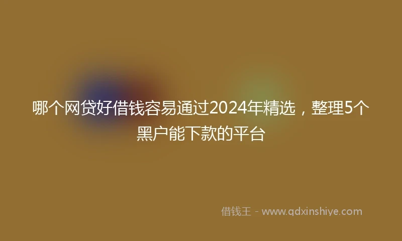 哪个网贷好借钱容易通过2024年精选，整理5个黑户能下款的平台