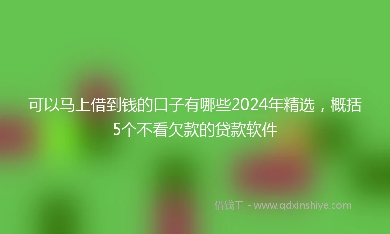 可以马上借到钱的口子有哪些2024年精选，概括5个不看欠款的贷款软件