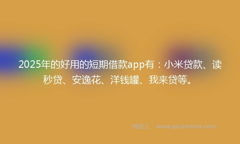 2025年的好用的短期借款app有：小米贷款、读秒贷、安逸花、洋钱罐、我来贷等。