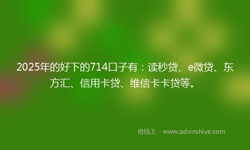 2025年的好下的714口子有：读秒贷、e微贷、东方汇、信用卡贷、维信卡卡贷等。