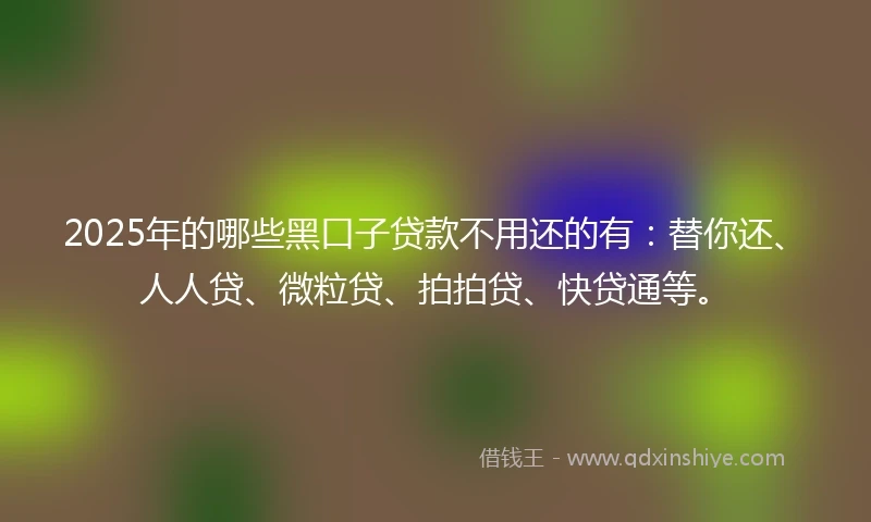 2025年的哪些黑口子贷款不用还的有：替你还、人人贷、微粒贷、拍拍贷、快贷通等。