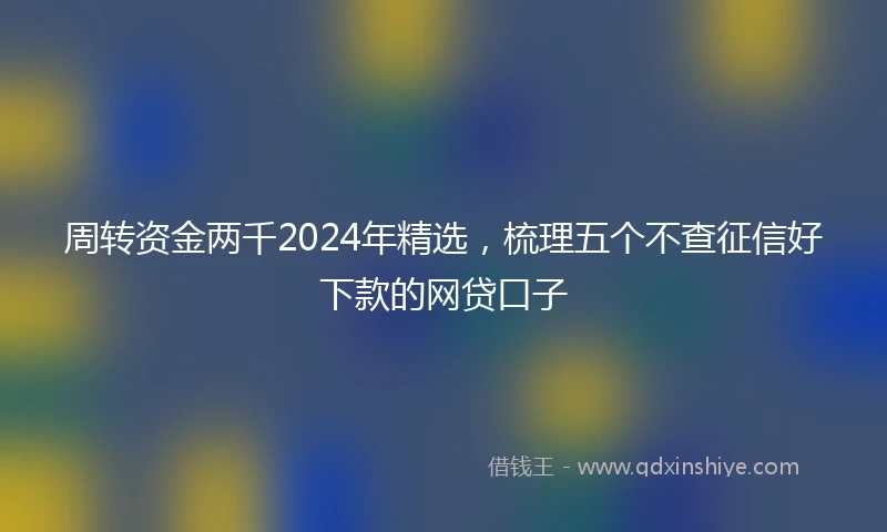周转资金两千2024年精选,梳理五个不查征信好下款的网贷口子
