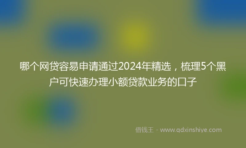 哪个网贷容易申请通过2024年精选，梳理5个黑户可快速办理小额贷款业务的口子