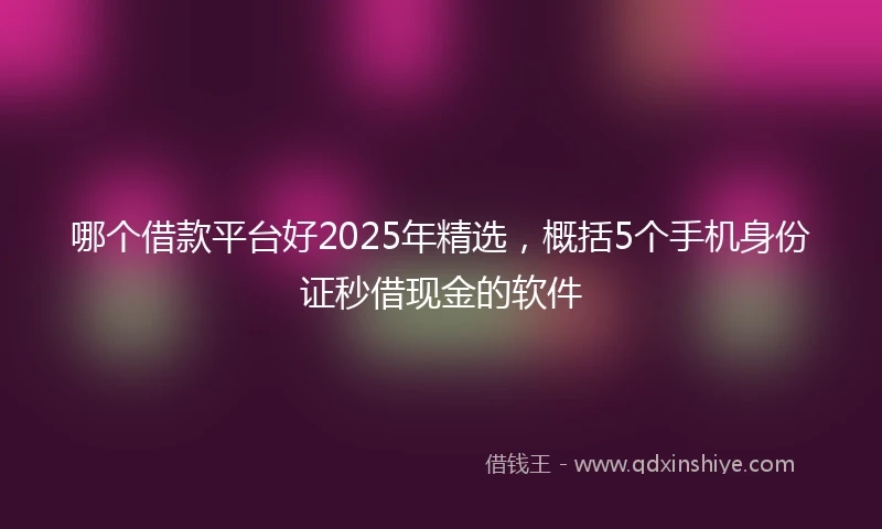 哪个借款平台好2025年精选，概括5个手机身份证秒借现金的软件