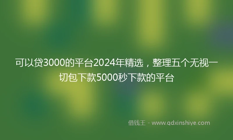可以贷3000的平台2024年精选，整理五个无视一切包下款5000秒下款的平台