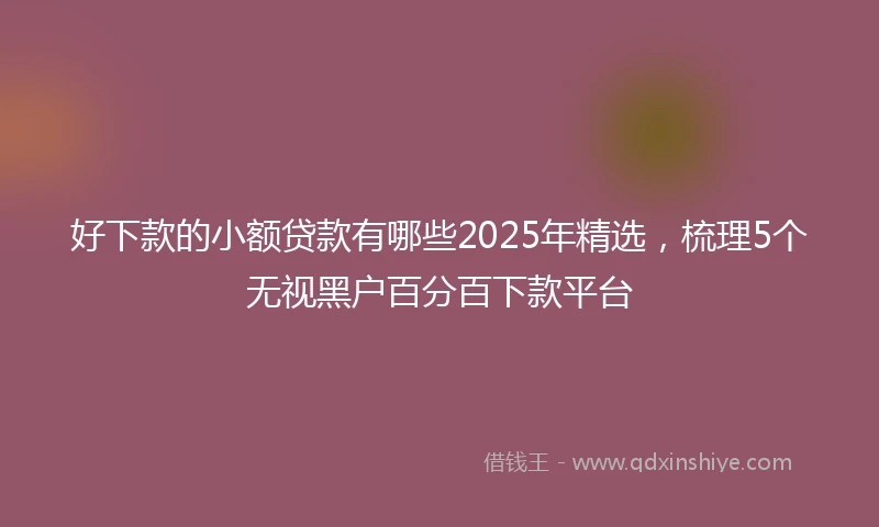 好下款的小额贷款有哪些2025年精选，梳理5个无视黑户百分百下款平台
