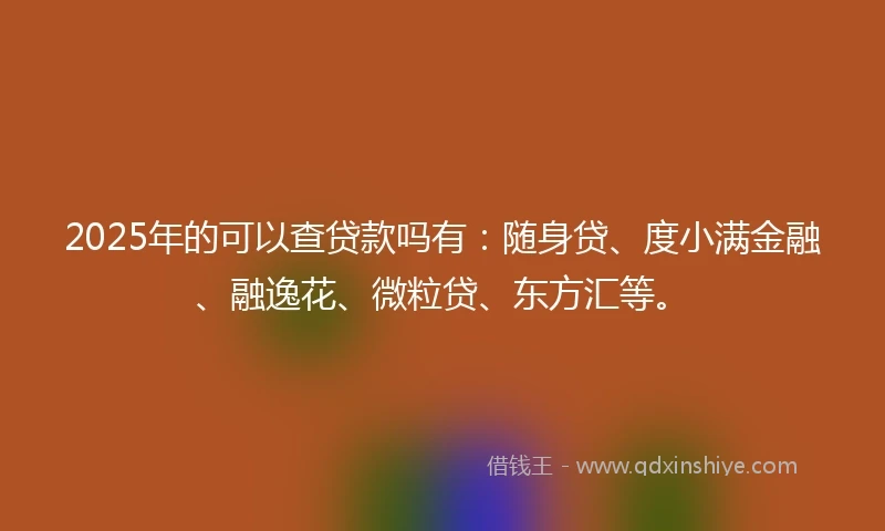 2025年的可以查贷款吗有：随身贷、度小满金融、融逸花、微粒贷、东方汇等。