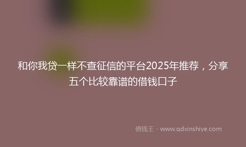 和你我贷一样不查征信的平台2025年推荐，分享五个比较靠谱的借钱口子