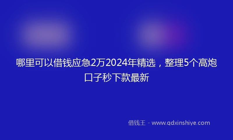 哪里可以借钱应急2万2024年精选，整理5个高炮口子秒下款最新