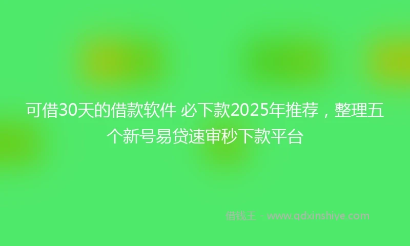 可借30天的借款软件 必下款2025年推荐，整理五个新号易贷速审秒下款平台