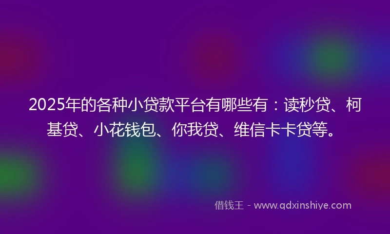 2025年的各种小贷款平台有哪些有：读秒贷、柯基贷、小花钱包、你我贷、维信卡卡贷等。