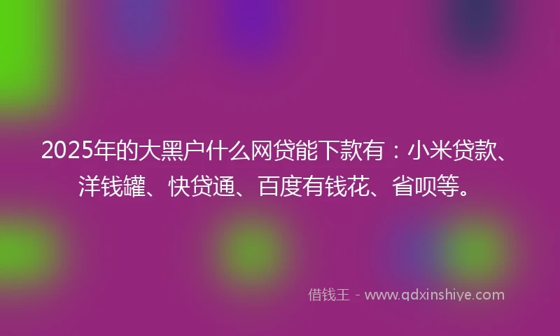 2025年的大黑户什么网贷能下款有：小米贷款、洋钱罐、快贷通、百度有钱花、省呗等。
