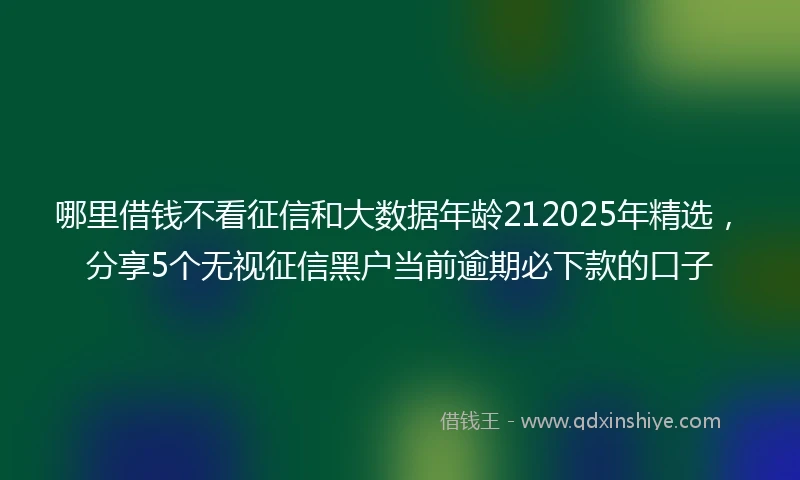 哪里借钱不看征信和大数据年龄212025年精选，分享5个无视征信黑户当前逾期必下款的口子