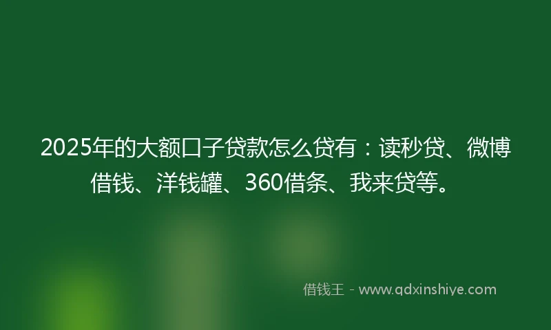 2025年的大额口子贷款怎么贷有：读秒贷、微博借钱、洋钱罐、360借条、我来贷等。
