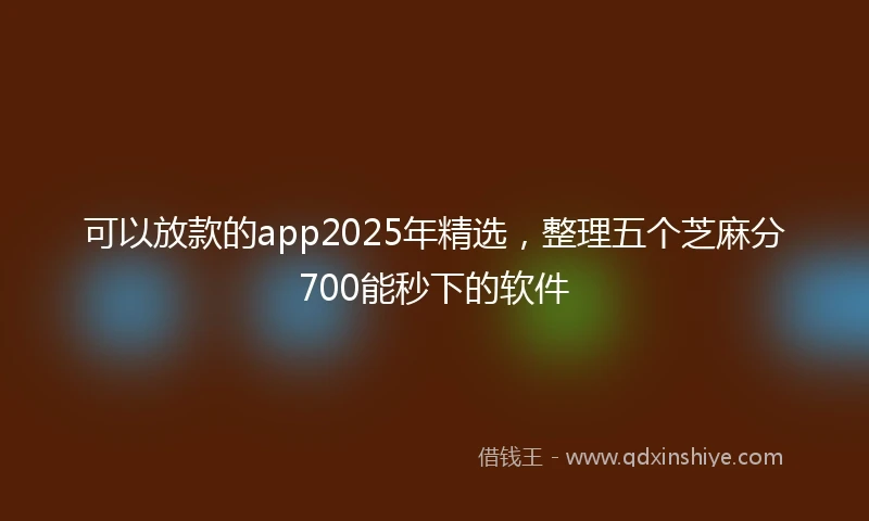 可以放款的app2025年精选，整理五个芝麻分700能秒下的软件