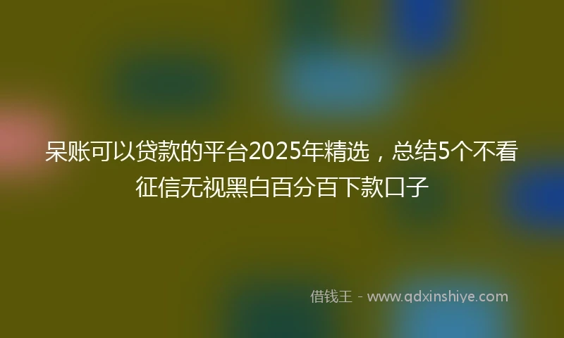 呆账可以贷款的平台2025年精选，总结5个不看征信无视黑白百分百下款口子