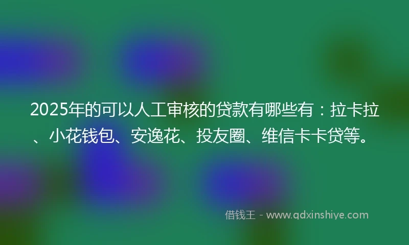 2025年的可以人工审核的贷款有哪些有：拉卡拉、小花钱包、安逸花、投友圈、维信卡卡贷等。