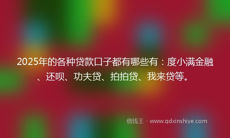 2025年的各种贷款口子都有哪些有：度小满金融、还呗、功夫贷、拍拍贷、我来贷等。