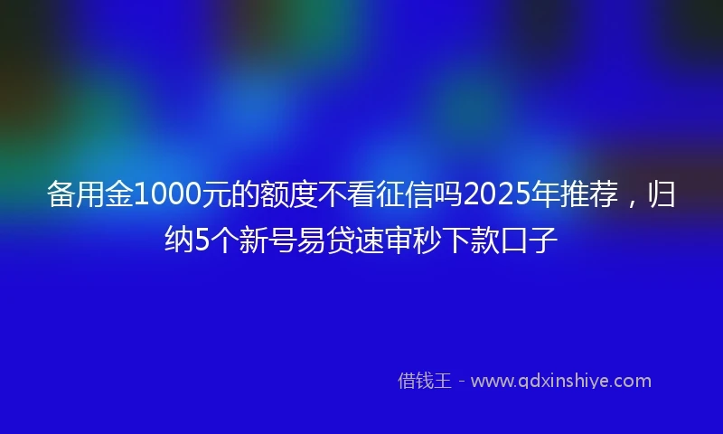 备用金1000元的额度不看征信吗2025年推荐，归纳5个新号易贷速审秒下款口子