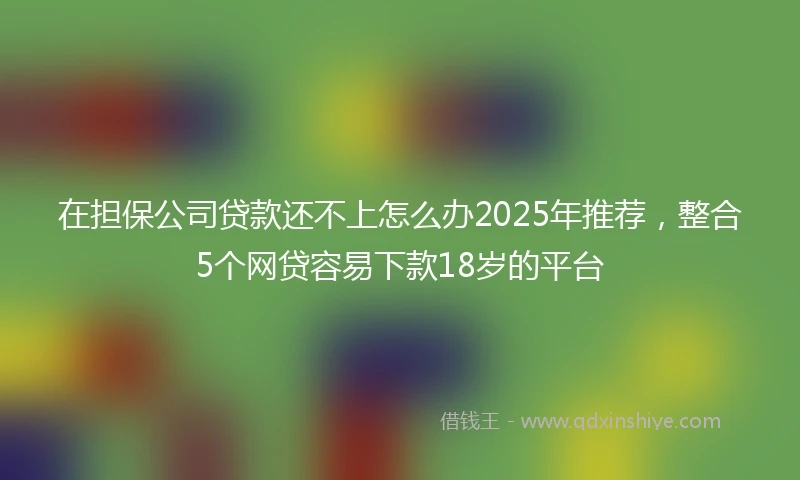 在担保公司贷款还不上怎么办2025年推荐，整合5个网贷容易下款18岁的平台